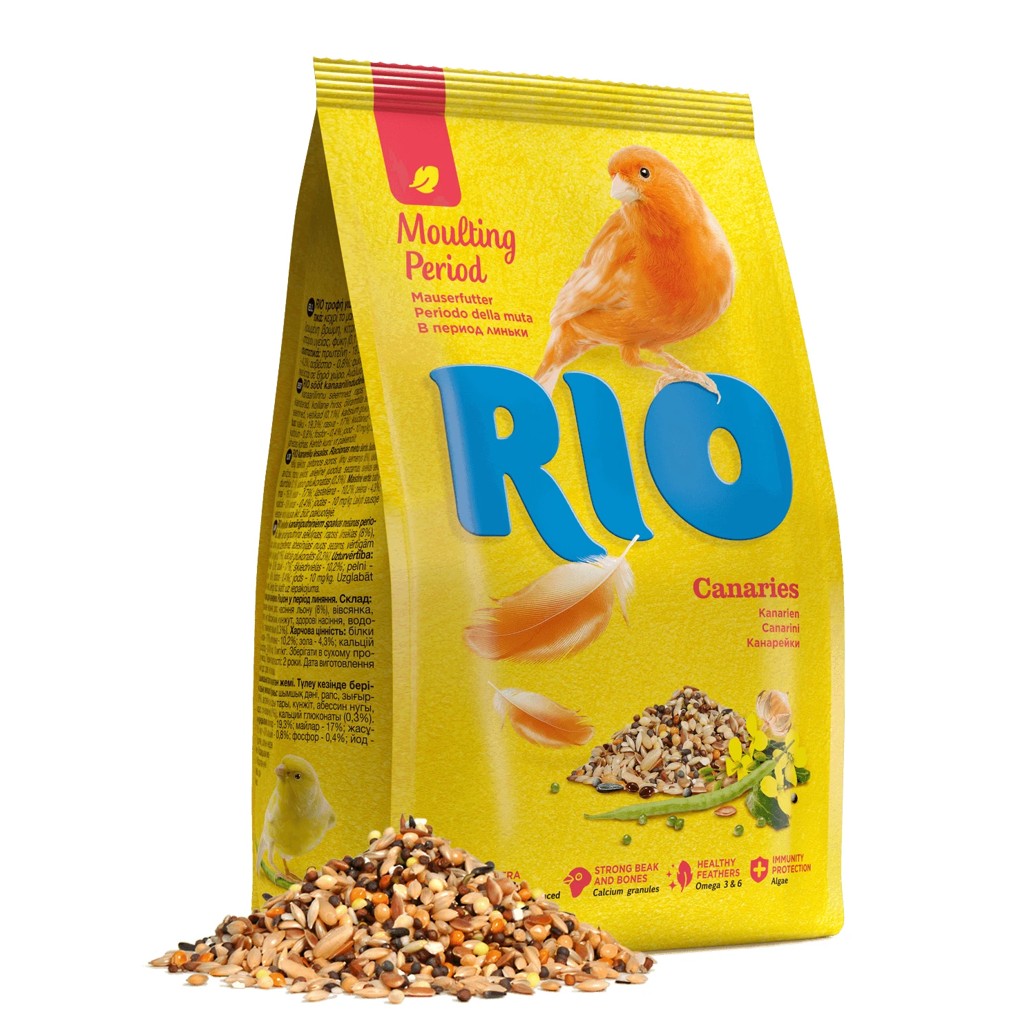 Rio Canaries Moulting Period