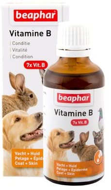 can you give dogs vitamin b