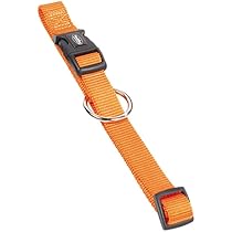 Nobby Collar Classic Orange