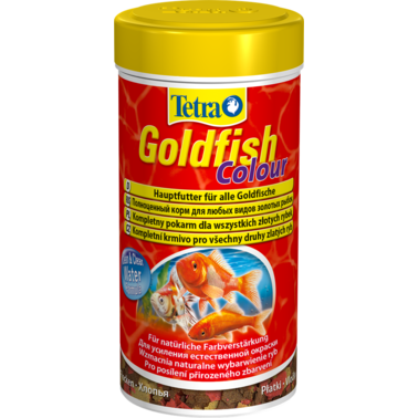 Tetra Goldfish Colour