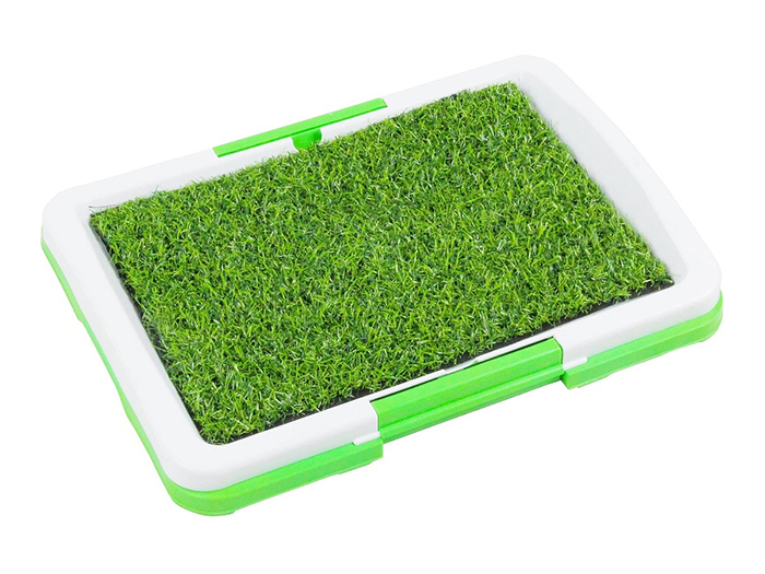 Dog Potty Green Trainer 