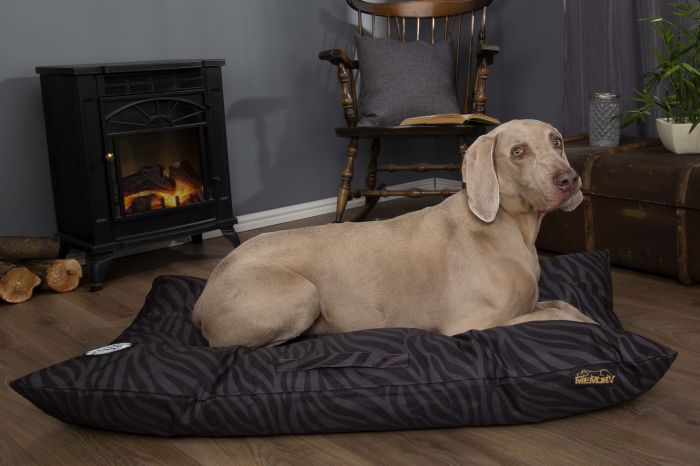 Orthopedic Beds