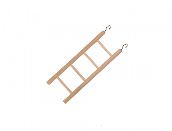 Wood Ladder