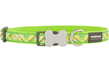 Red Dingo - Fianno Lime Green Dog Collar 