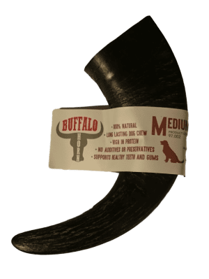 Buffalo Natural Horn Medium