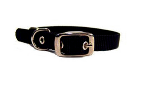 Hamilton Single Thick Nylon Dog Collar Black 14inch