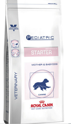 royal canin junior starter