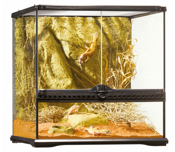 Sera Ex All Glass Terrarium Incl Background 45x45x45cm