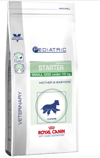 royal canin junior starter