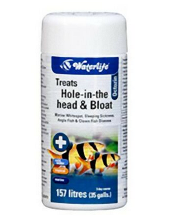 Waterlife Octozin 21 Tablets Fish Parasite Treatment