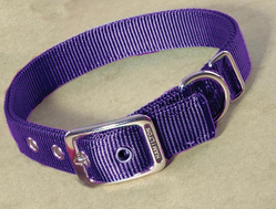 Hamilton Double Thick Nylon Dog Collar Purple 22 Inch