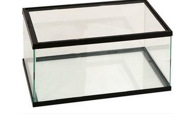 Flamingo Turtle Tank