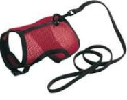 Jogging Harness Small