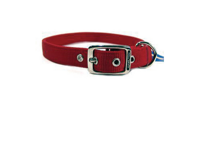 Hamilton Double Thick Nylon Dog Collar Red 28
