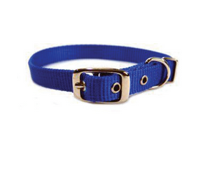 Hamilton Single Thick Nylon Dog Collar Blue