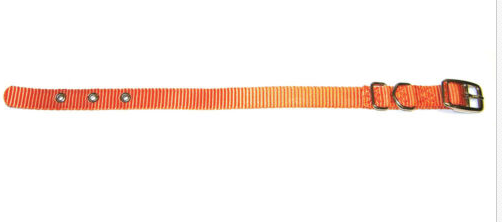 Hamilton Mango Single Thick Nylon Dog Collar 5/8 X 18 In