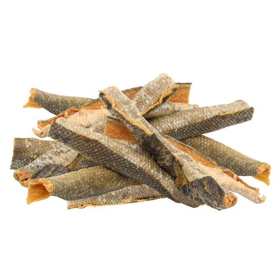 Salmon Skin 