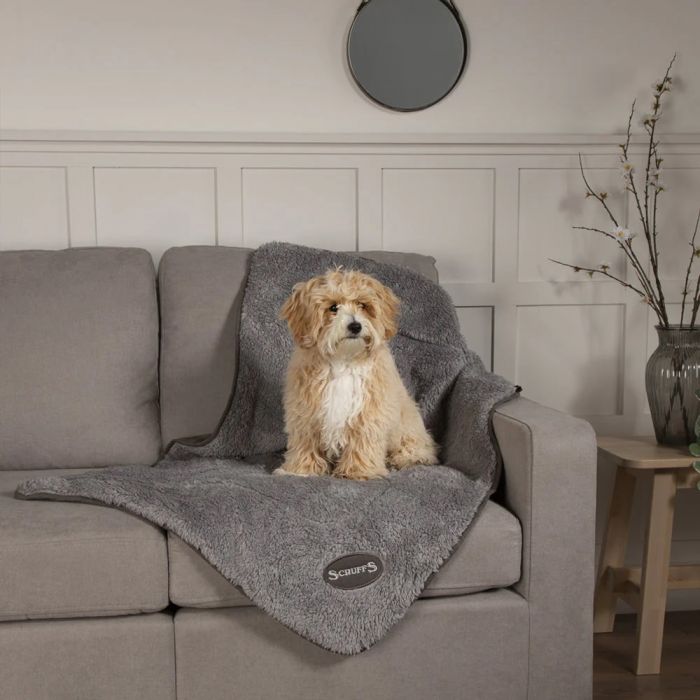 Scruffs Cosy Grey Blanket Buy Blankets And Matting at PetFoodCyprus