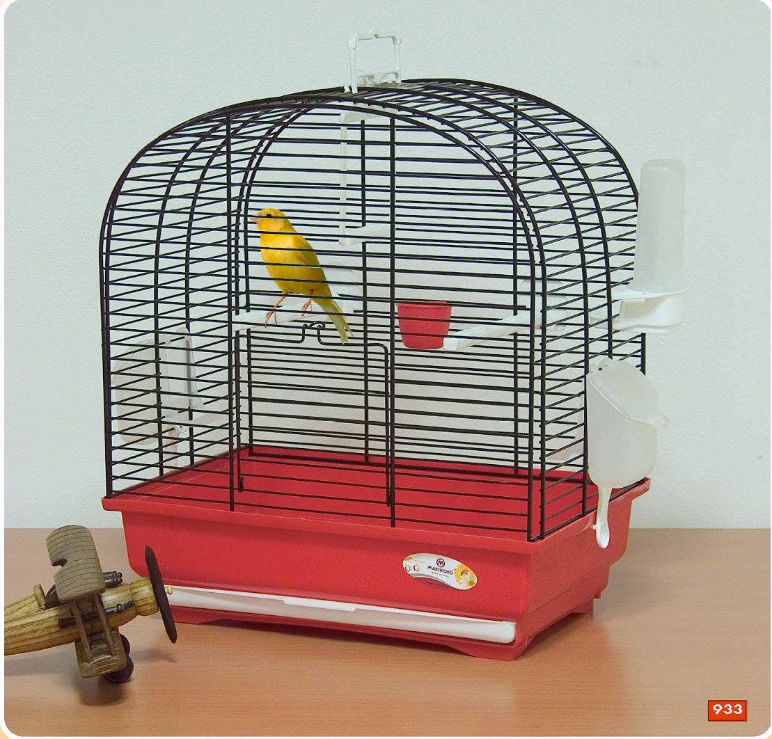 Marchioro bird best sale cage