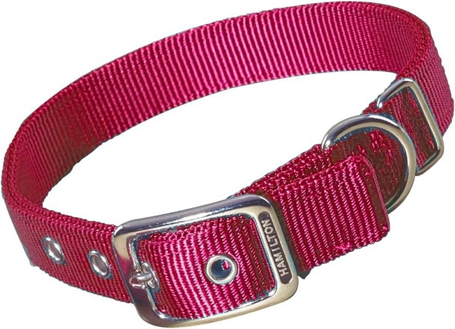 Hamilton DLX Dog Collar RED
