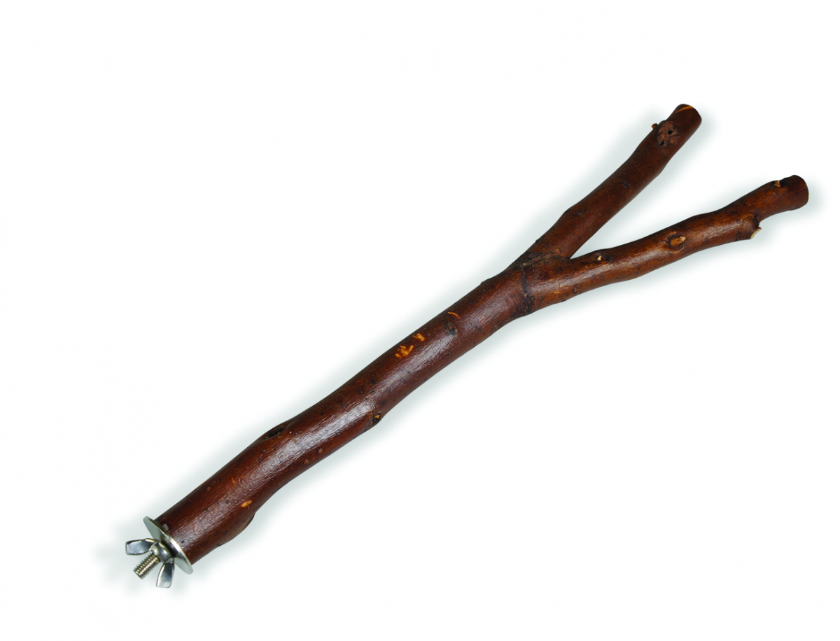 Hazelnut Wood Branch