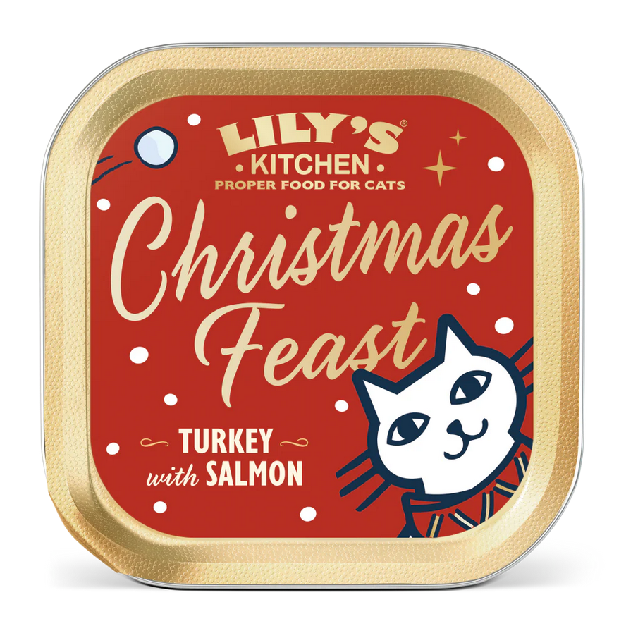 Lily's Kitchen Festive Turkey With Salmon Pate