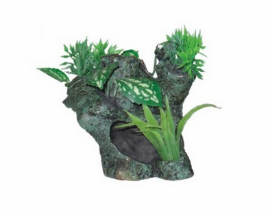 Makarounas Wood Trunk With Red Plants Decor