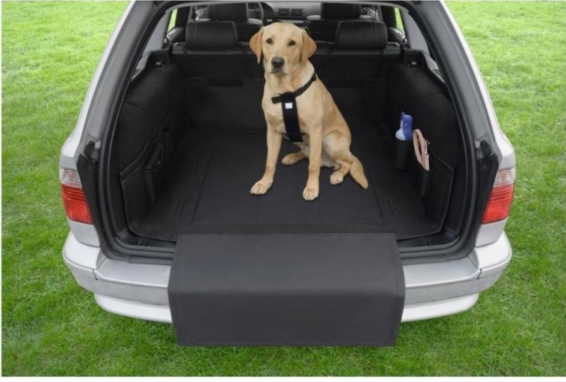 NOBBY Car Cover