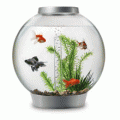Baby Biorb Led Light (2013) Moonlight Silver
