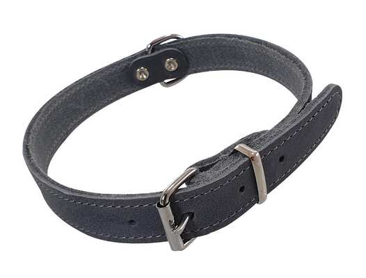 Nobby Collar Tabil Gray