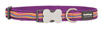 Red Dingo Dog Collar Dreamstream Purple