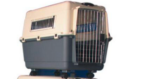 Savic Carrier 67x51x57