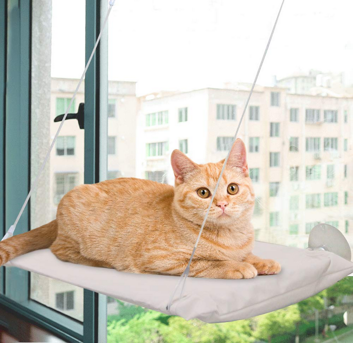 Afp Classic Comfort - Window Lounge