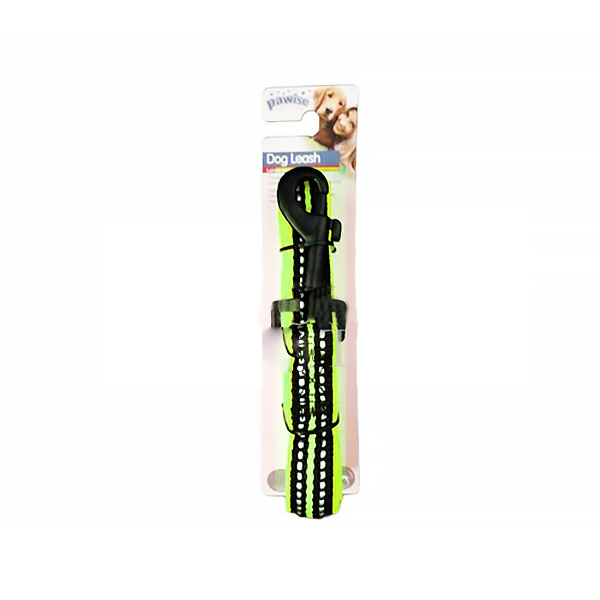 Pawise Dog Reflective Leash Green 