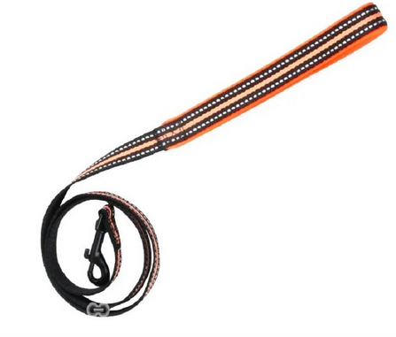 Pawise Dog Reflective Leash Orange 