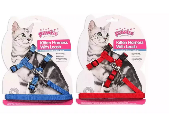 Pawise Kitten Harness With Leash In Red/blue