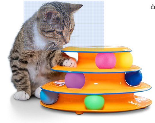 Modern Cat - Multi-Tracks