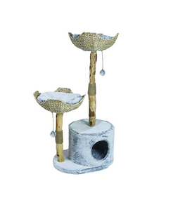 Pet Interest Catoikos  Playground Highlands 