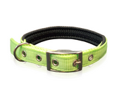 Pet Interest Collar Single Neoprene Metal Buckle Fluoresent Green