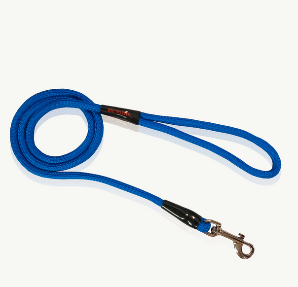 Pet Interest Leash Rope Plain Blue