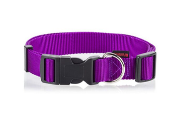 Pet Interest Plain Collar With Plastic Buckle Purple