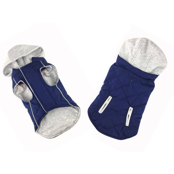 Pet Interest Sportive Jacket Blue Hood