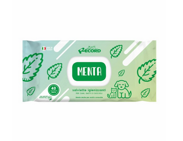 Record Mint Sanitizing Wet Wipes