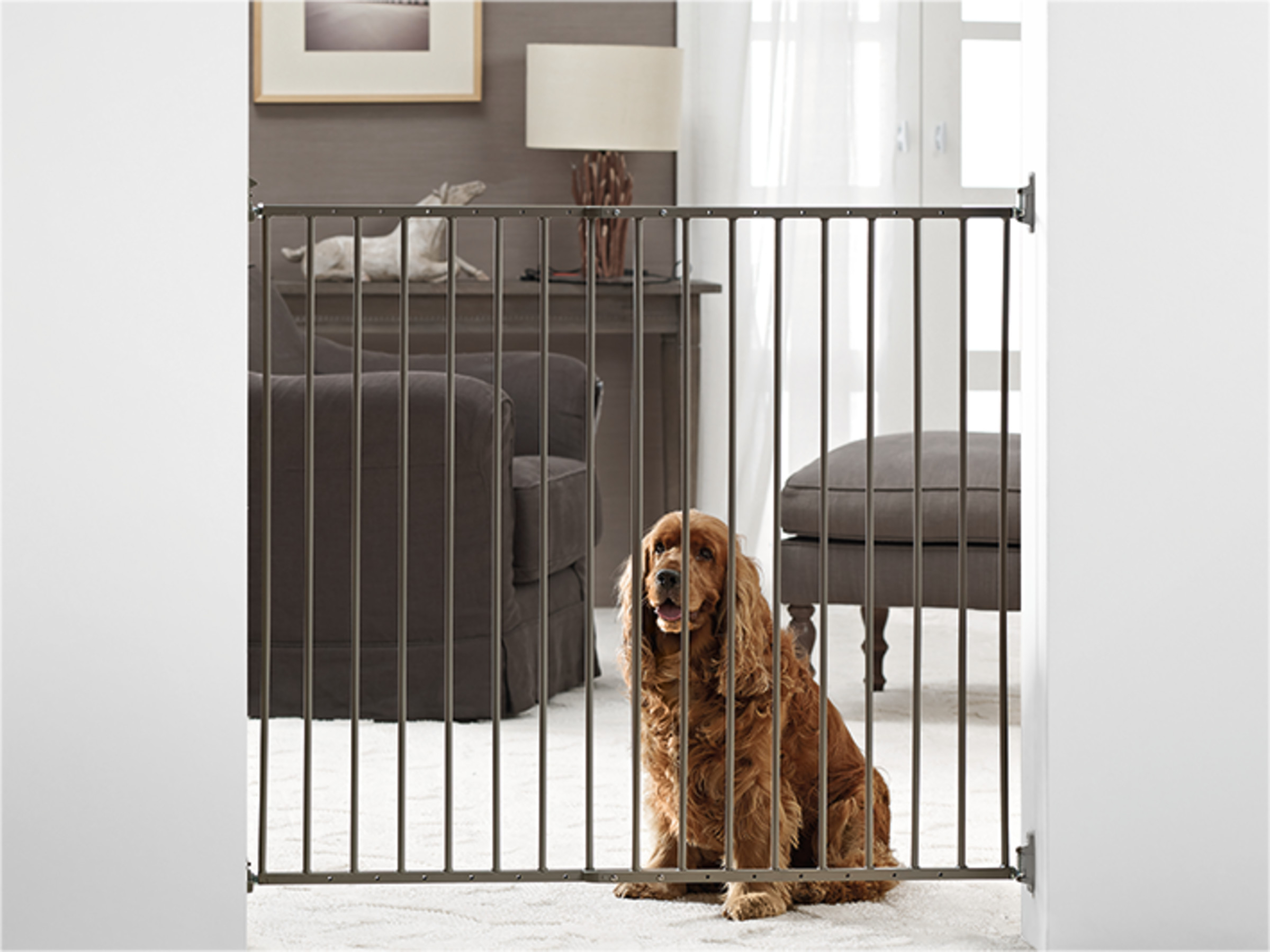 Savic Dog Barrier Indoor H 95Cm W 62 To 102Cm Buy Dog Kennels