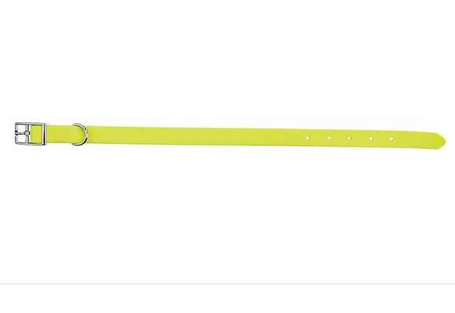 Trixie Xl Neon