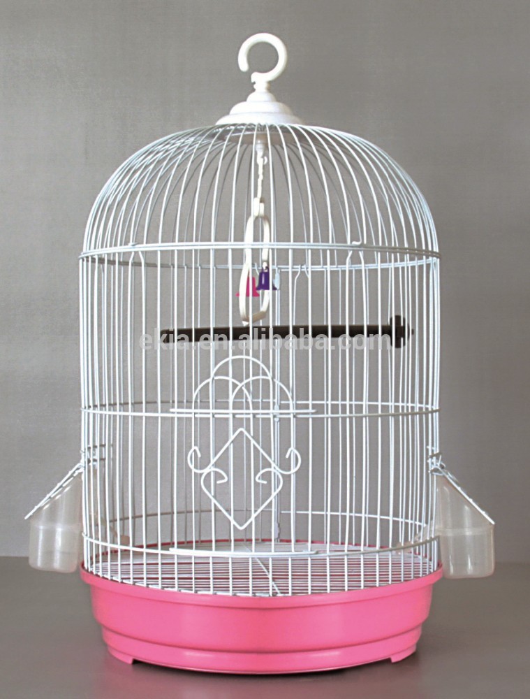 Bird Cage Buy Cages at