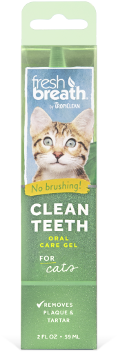 Cat Health & Wellbeing