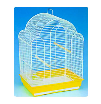 Bird Cage Assorted Colours
