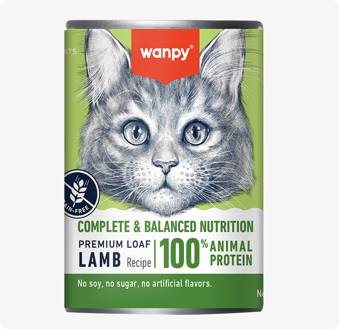 Wanpy Complete & Balanced Nutrition Lamb Premium Pate