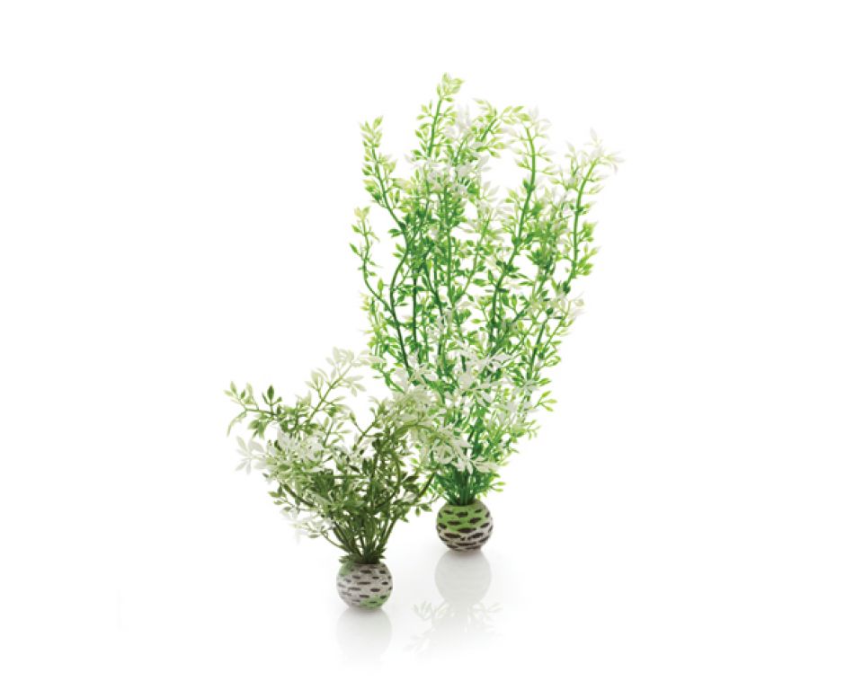 Artificitial Plants